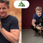 gordon ramsay pets