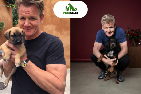 gordon ramsay pets