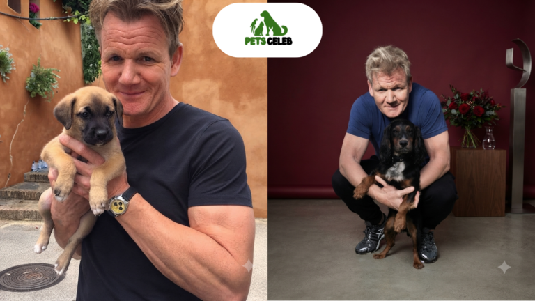 Gordon Ramsay Pets A Look at the Beloved Animals in the Celebrity Chef’s Family