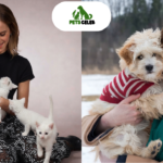 emma watson pets