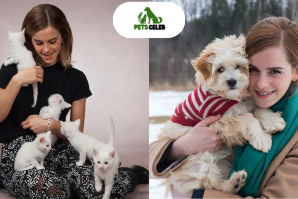 emma watson pets