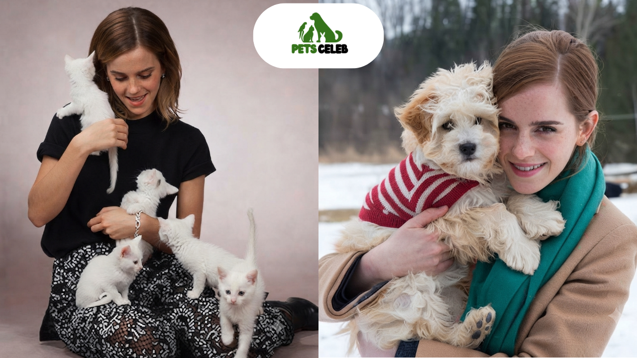 emma watson pets