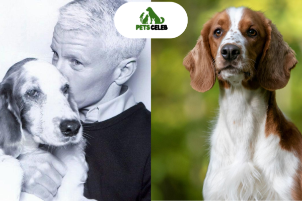 anderson cooper pets
