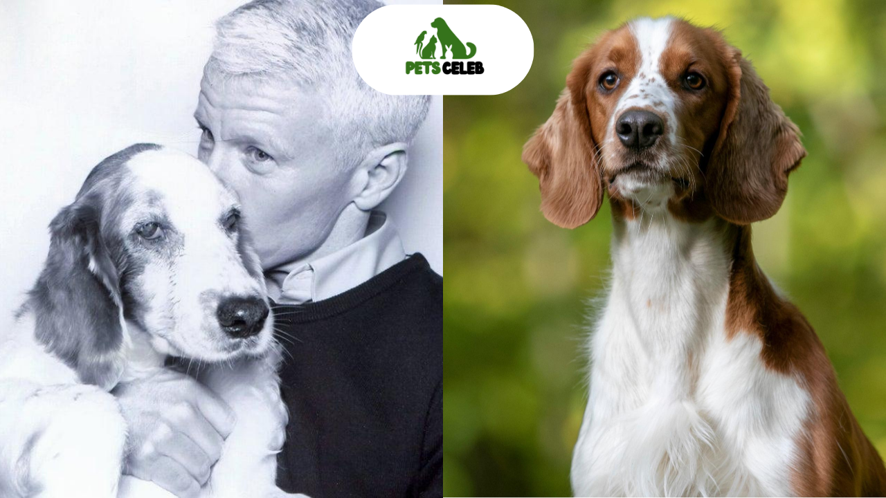 anderson cooper pets
