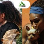 serena williams pets