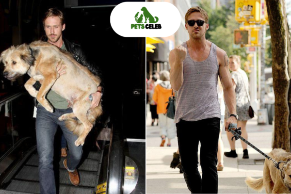 ryan gosling pets