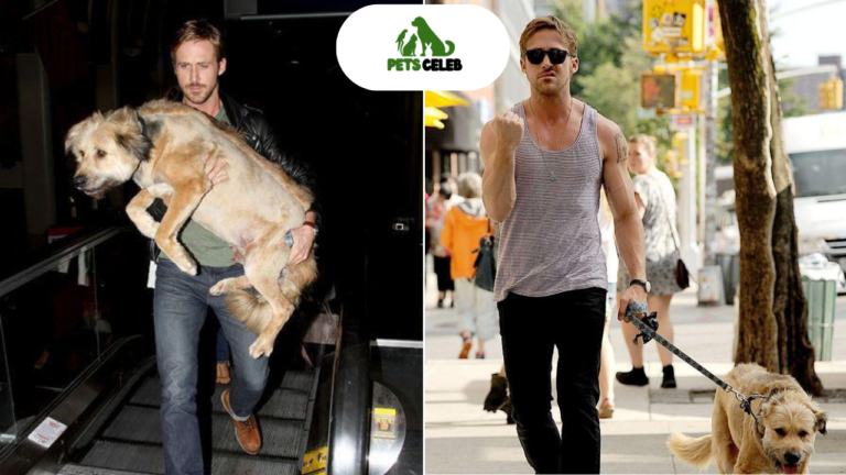 ryan gosling pets