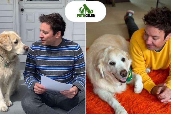 jimmy fallon pets