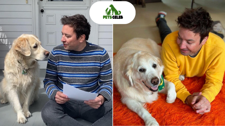 jimmy fallon pets