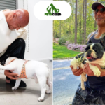 dwayne johnson pets