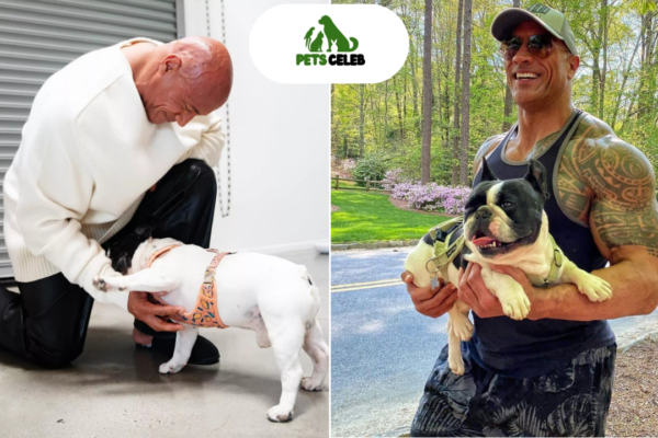 dwayne johnson pets