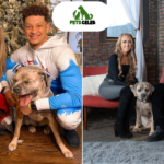 patrick mahomes pets