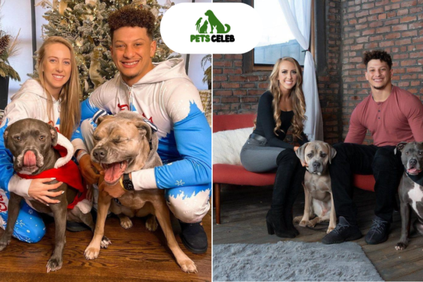 patrick mahomes pets
