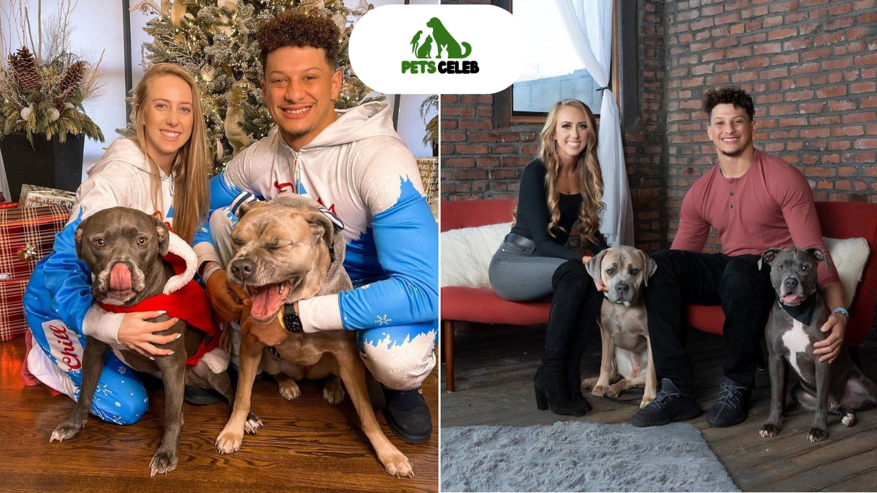 patrick mahomes pets