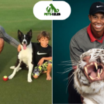 tiger woods pets
