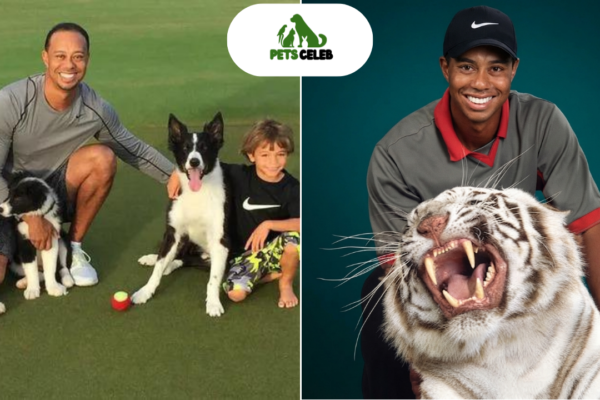 tiger woods pets