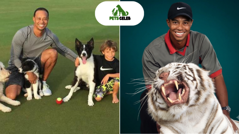 tiger woods pets